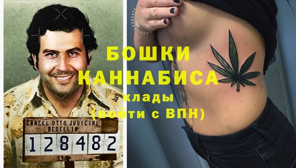 тгк Барнаул