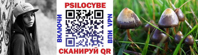 Псилоцибиновые грибы ЛСД Белово