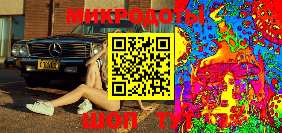 Псилоцибиновые грибы мухоморы  Псилоцибиновые грибы Psilocybine cubensis  Белово 