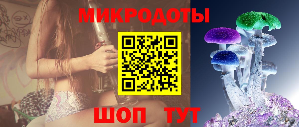Псилоцибиновые грибы Psilocybine cubensis Белово