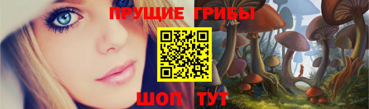 Белово  Псилоцибиновые грибы Cubensis  Вход с VPN 
